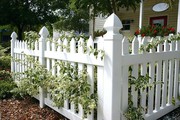 Book PVC Fencing Services in Gold Coast